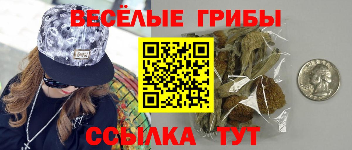 Осинники  Галлюциногенные грибы MAGIC MUSHROOMS  Вход с VPN  Псилоцибиновые грибы Cubensis 