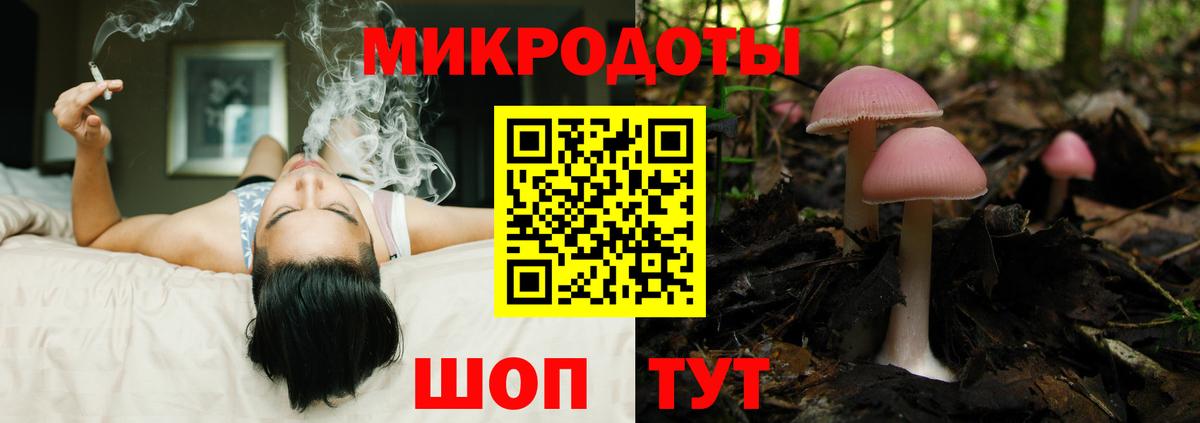 Псилоцибиновые грибы Psilocybe Осинники